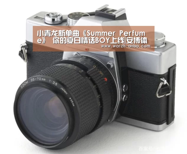 小青龙新单曲《Summer Perfume》    你的夏日情话BOY上线|安博体育官网下载