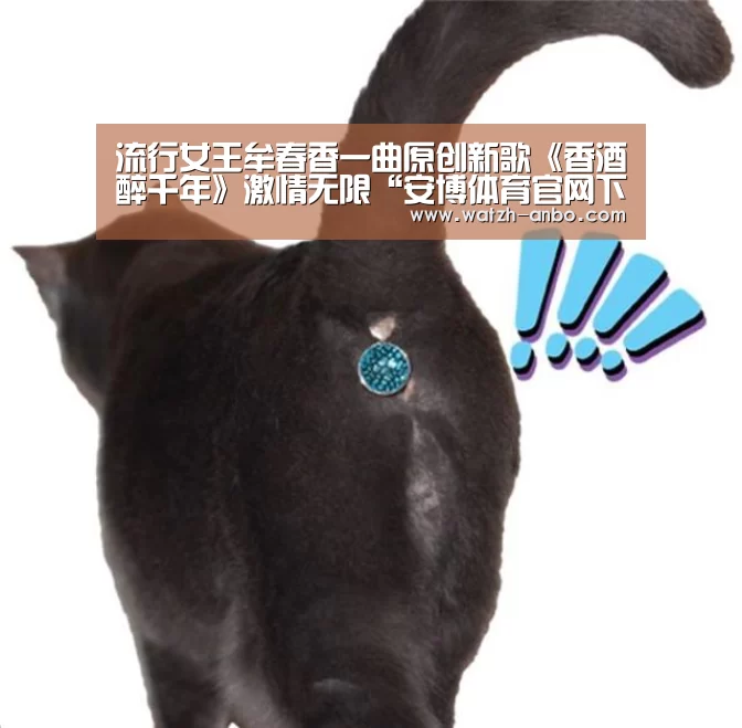 安博体育官网下载